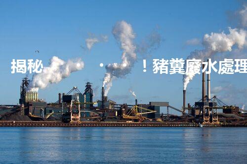 揭秘！豬糞廢水處理的以后之路